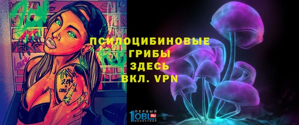 прущая мука Лабытнанги