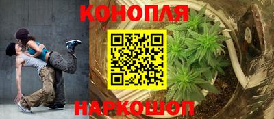 ПСИЛОЦИБИНОВЫЕ ГРИБЫ Гусь-Хрустальный